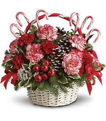 Candy Cane Christmas from Carl Johnsen Florist in Beaumont, TX